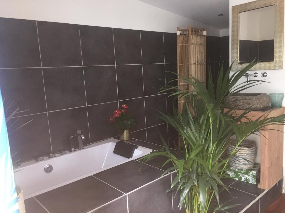 Chalet Insolite Bois Cailloux Avec