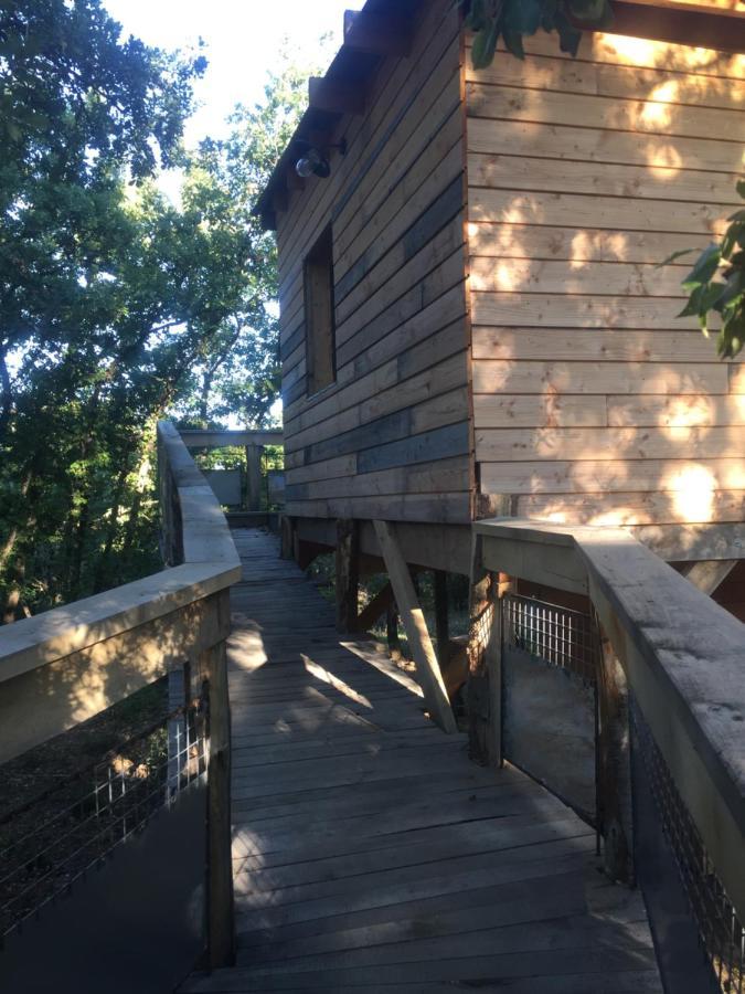 Chalet Insolite Bois Cailloux Avec *
