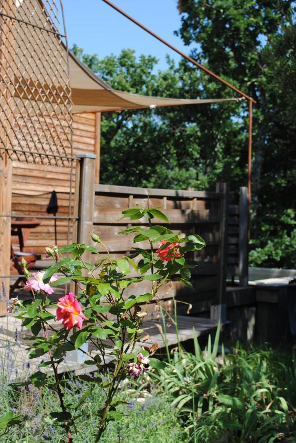 Chalet Insolite Bois Cailloux Avec